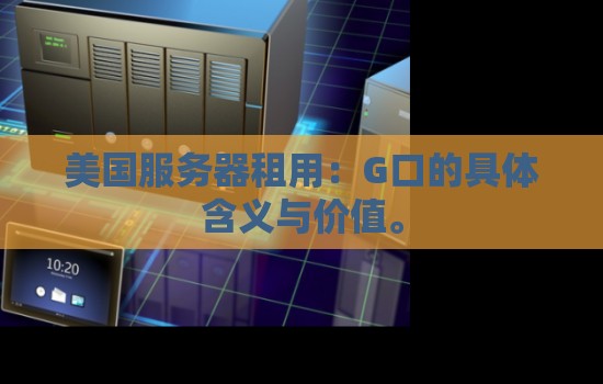 美国服务器租用：美国服务器G口的具体含义与价值