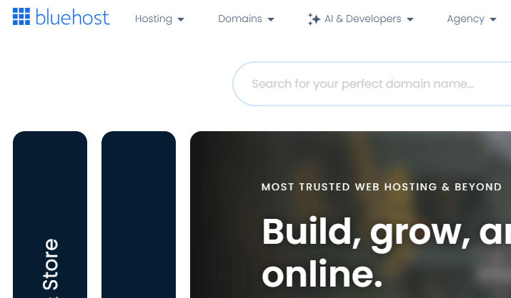bluehost官网登录入口：https://www.bluehost.com/